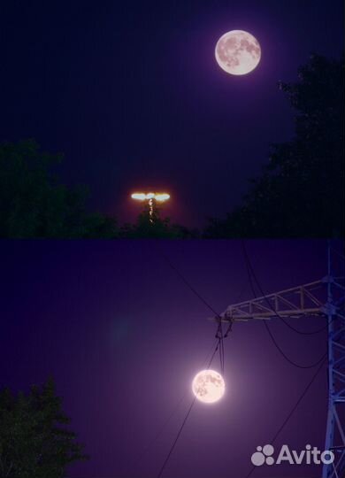 Художник, фотограф