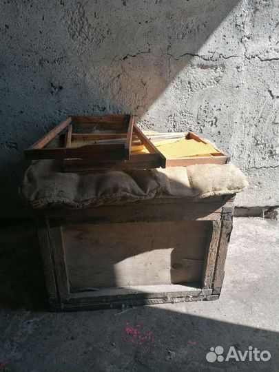 Пчелы и улья