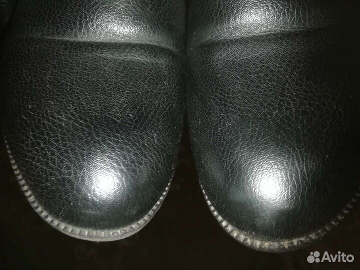 Сапоги демисезонные