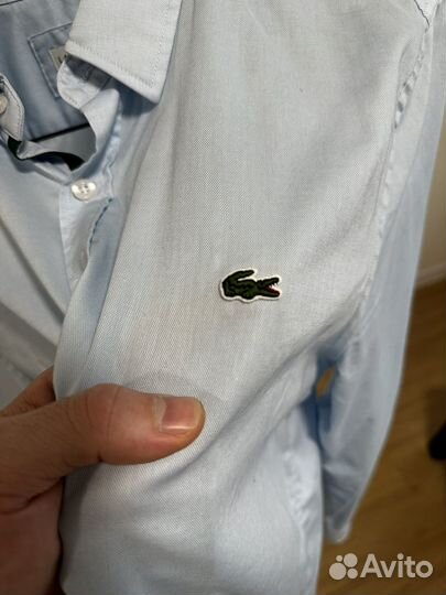 Рубашка мужская Lacoste