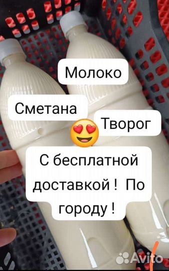 Молоко Опт. Творог опт
