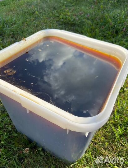 Мед оптом с Алтая / Экспорт в Китай и снг