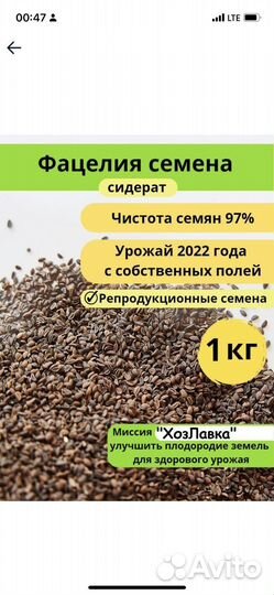 Семена фацелии