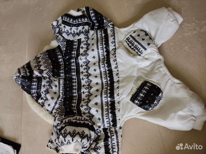 Одежда для собак