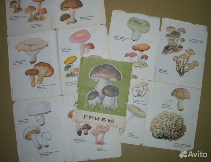 Набор открыток