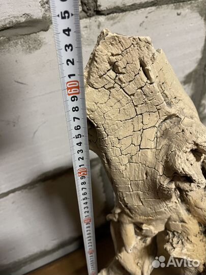 Аксессуары для аквариума eheim jager 250