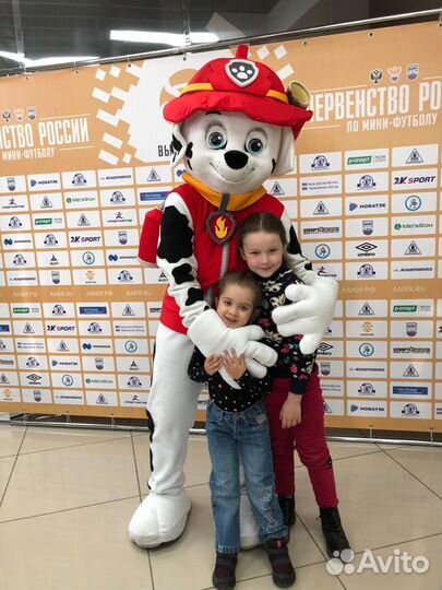 Поздравление от мишки, Зайки, аниматоры