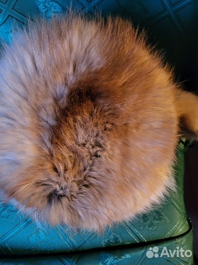 Шапка ушанка мужская из натурального меха 57 р