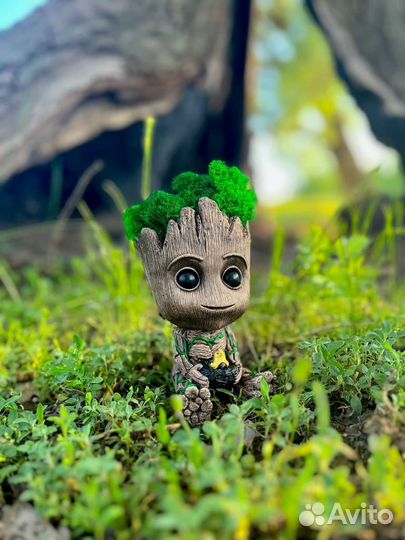 Кашпо грут со стабилизированныс мхом