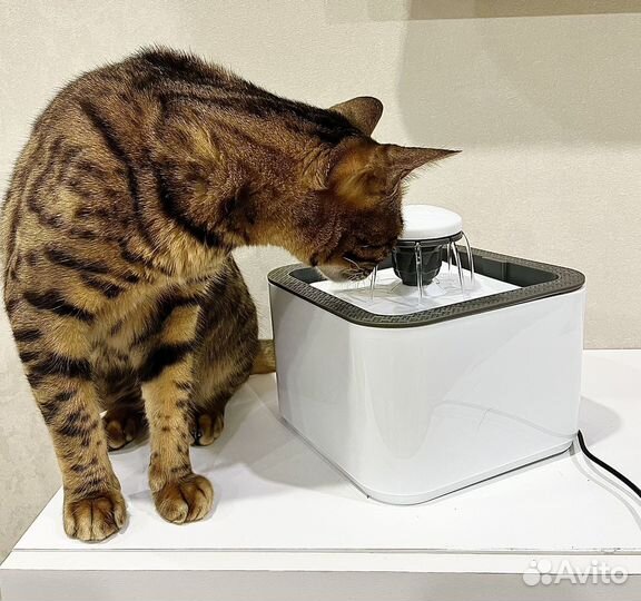 Поилка фонтан для кошек и собак