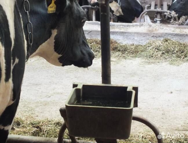 Поилки крс групповые и индивидуальные