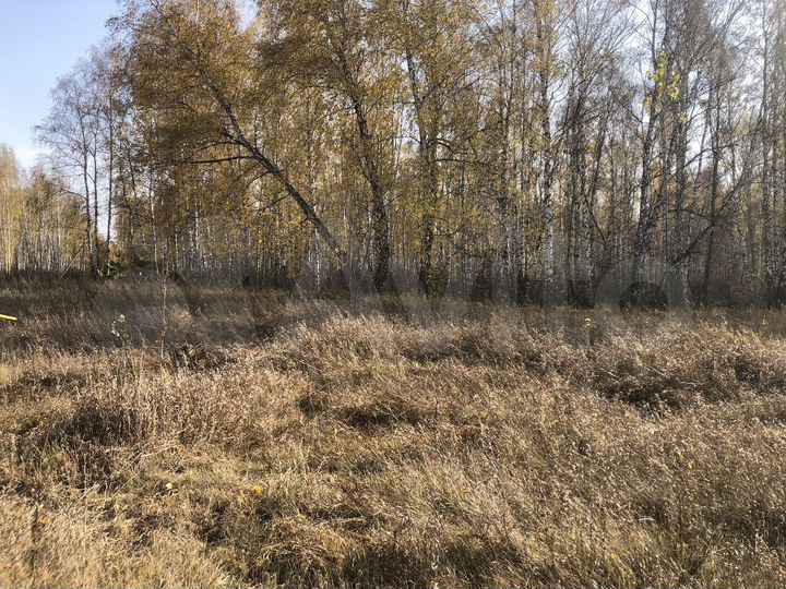 Участок 10,6 сот. (ИЖС)