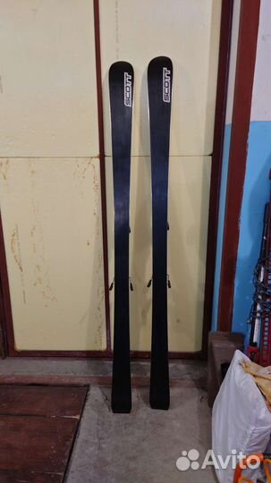 Горные лыжи