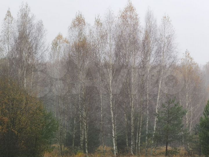 Участок 30 сот. (ИЖС)