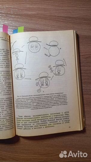 Учебник по биологии под редакцией Ярыгина