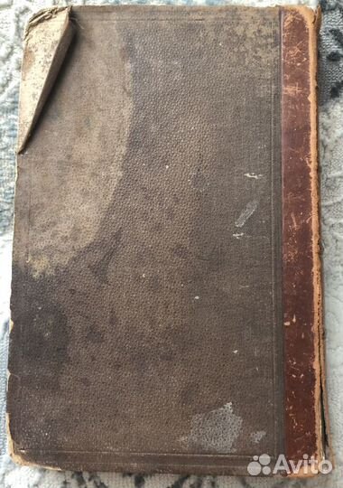 История первобытного человека В иллюстрация 1897г