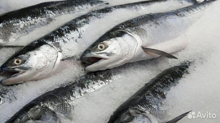 Франшиза: минимальные риски старта