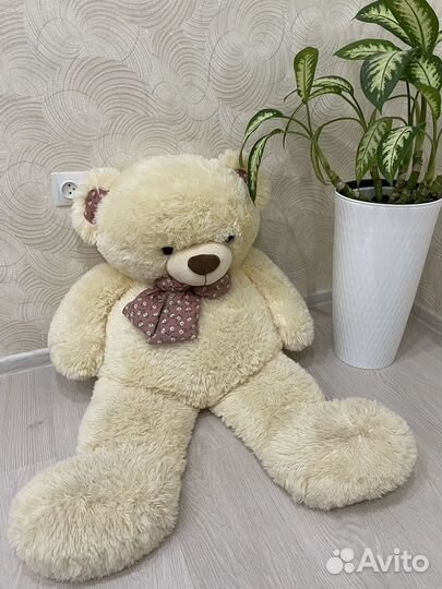 Большие плюшевые медведи