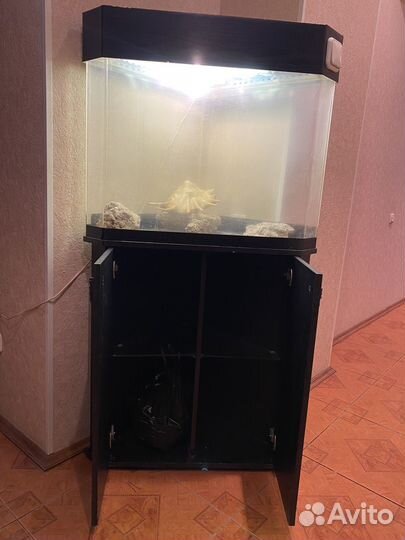 Аквариум с тумбой
