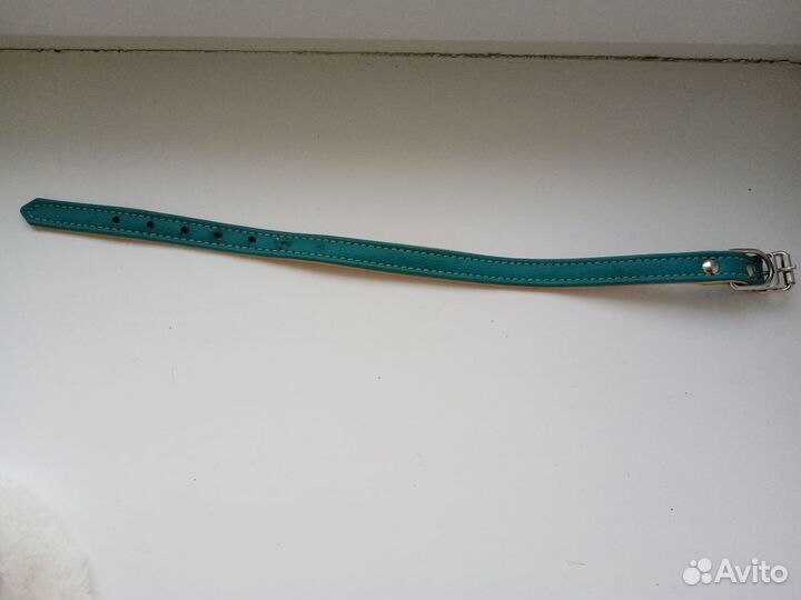 Ошейник с поводком