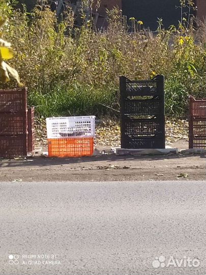 Ящики фруктовые, пластиковые