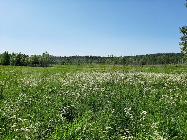 Участок 4,55 га (СНТ, ДНП)