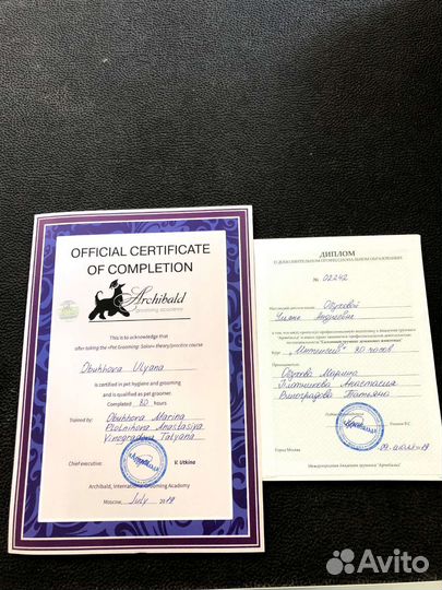 Груминг, стрижка собак и кошек