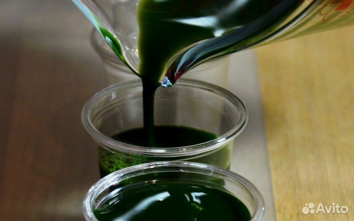 Витграсс (профилактика от рака)
