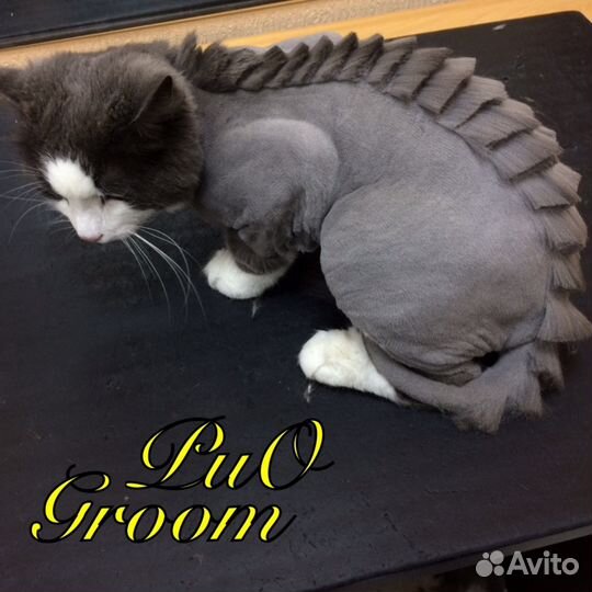 Груминг услуги в рио Zooмаркет