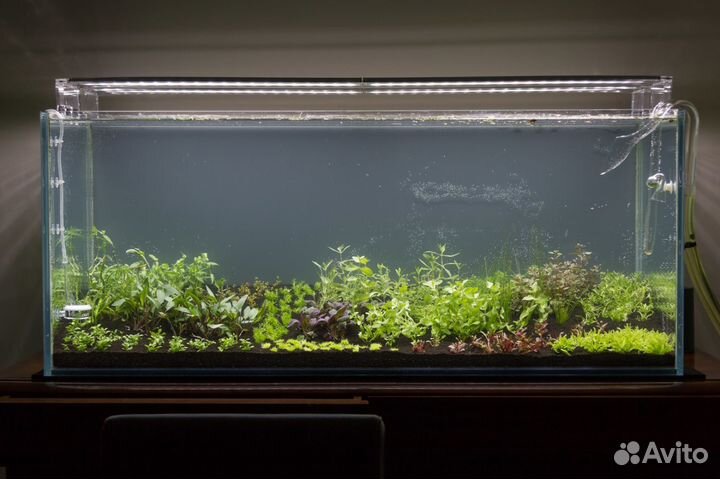 Аквариумные удобрения