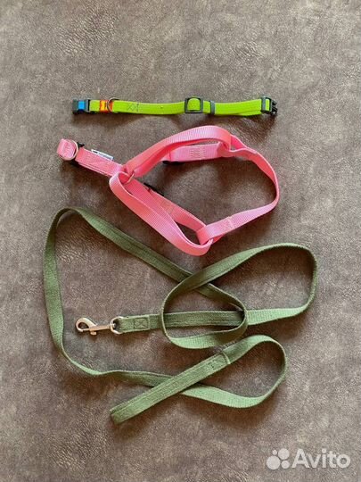 Вещи для собак и кошек