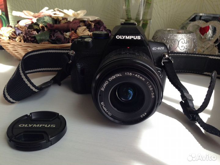 Фотоаппарат Olympus e-420+ Сумка