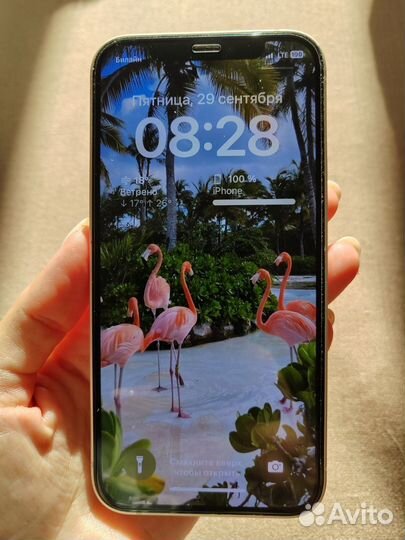 iPhone 12 128gb