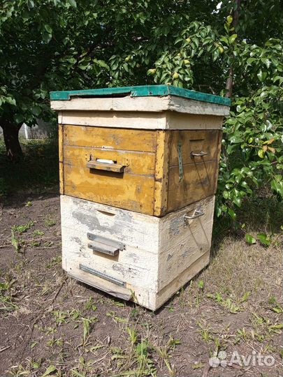 Улей для пчел 12, 16 и 20 рамок