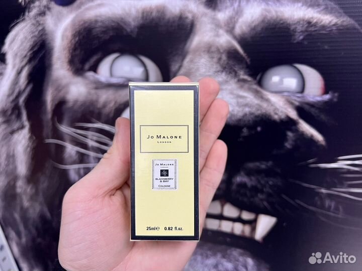 Jo malone blackberry bay