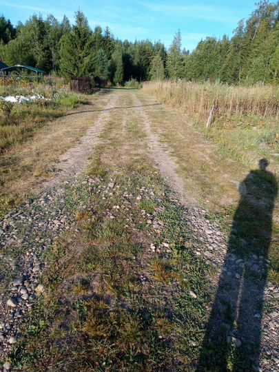 Участок 4,49 га (СНТ, ДНП)