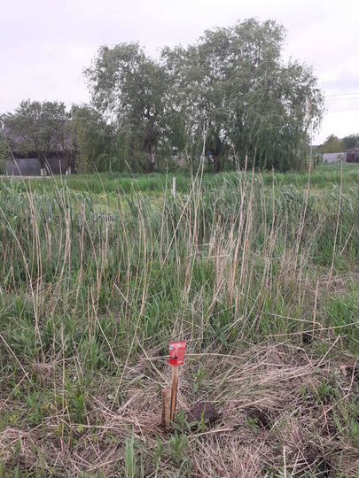 Участок 20 сот. (ИЖС)