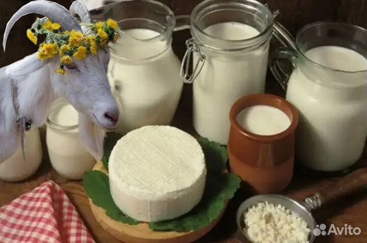 Козье молоко