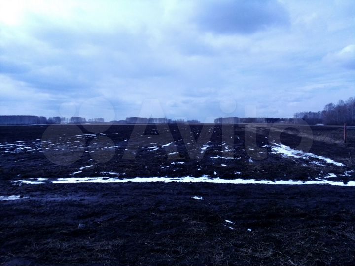 Участок 15 сот. (СНТ, ДНП)