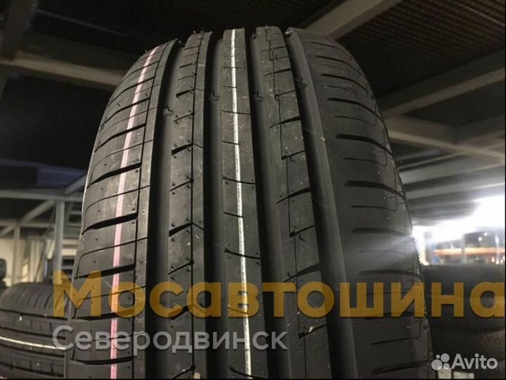 Windforce CatchFors H/P 205/55 R16 91V