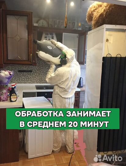 Уничтожение тараканов клопов дезинфекция