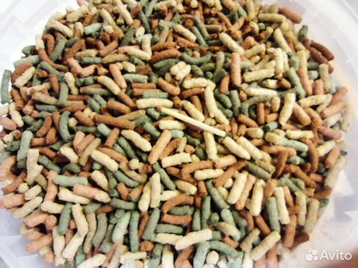 Корм для карпа Кои