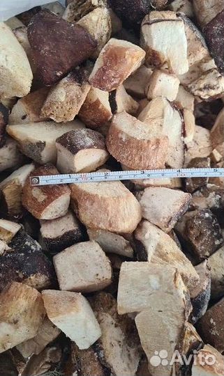 Белый гриб замороженный