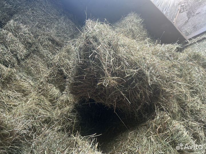 Сено кипованное,сено в рулонах,солома овсяная