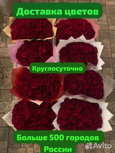 Розы 25/51/101 Зеленоград