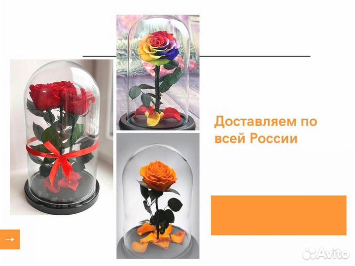 Роза в колбе. От производителя