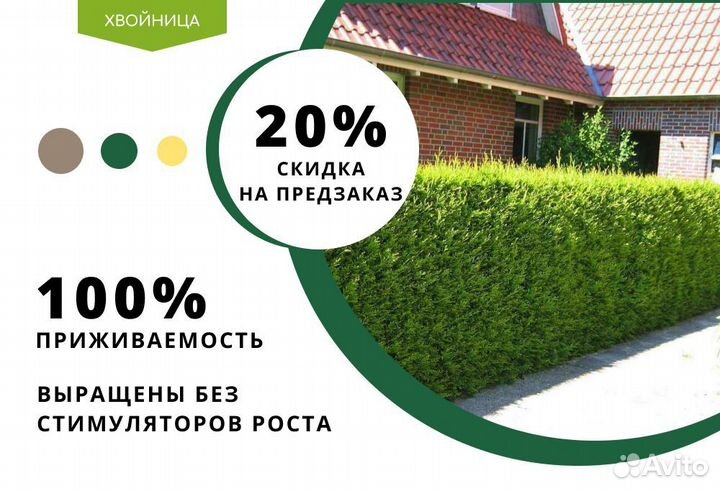 Живая изгородь