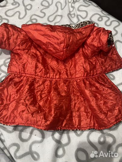 Одежда для собак мелких пород пакетом