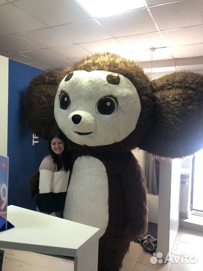 Поздравления Ростовая кукла Медведь Чебурашка