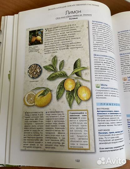 Энциклопедия лекарственных растений